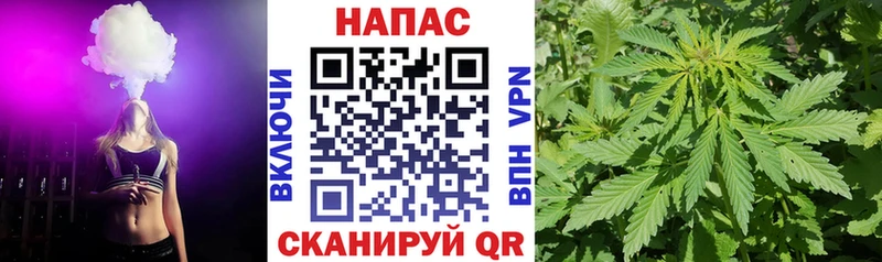 Что такое Инта ГАШ  Бошки Шишки  COCAIN  Меф мяу мяу 