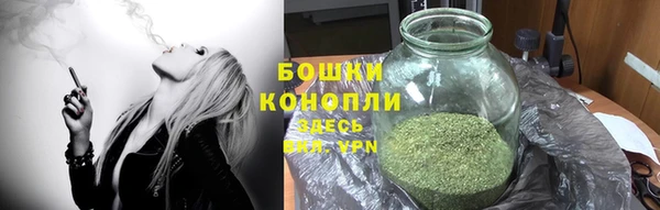 PSILOCYBIN Алексеевка