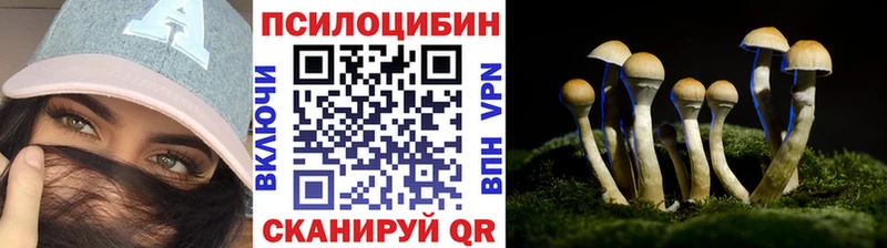 гидра ссылки  Инта  Галлюциногенные грибы MAGIC MUSHROOMS 